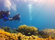 Scuba Diving Chapel, Island: Finding Love, Beauty, Wonder Under Waves