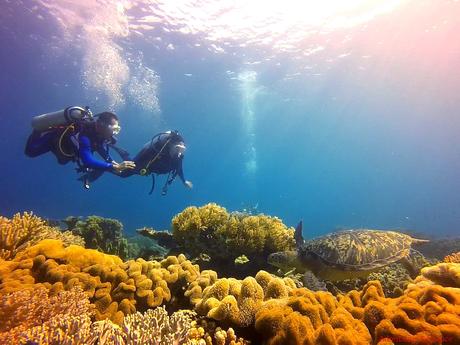 Scuba Diving Apo Island