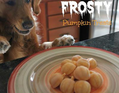healthy halloween treats for dogs frosty pumpkin dog frozen treats