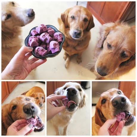 Healthy Halloween Dog Treats Frozen blueberry skull dog treats