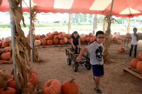 Pumpkin Painting