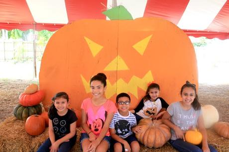 Pumpkin Painting