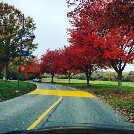 The approach to campus | Stevenson University | October 27, 2015