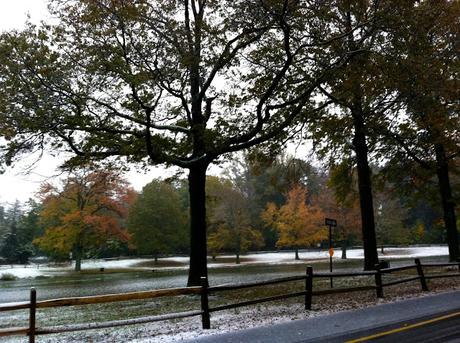 When-it-Snowed-on-Halloween-on-Long-Island