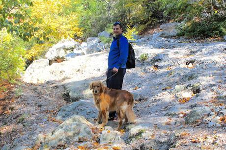 Hiking with your dog Lantern Hill dog friendly #walktober