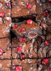 Cranberry Brownies