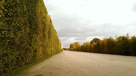 Schoenbrunn