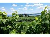 Tale Wine Regions: Seneca Lake, York Balatonfüred-Csopak, Hungary