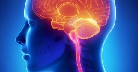 Google Will Use Rankbrain to Respond to Queries that Hasn't Ever Been Searched Before.: eAskme Google Will Use Rankbrain to Respond to Queries that Hasn't Ever Been Searched Before.: eAskme