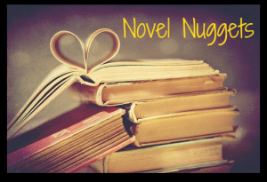 Novel Nuggets Button