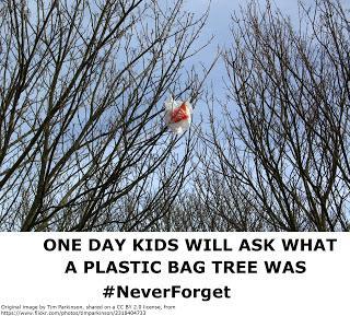 Plastic Bag Trees Plastic Bag Trees