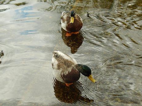 A Morning in Bakewell