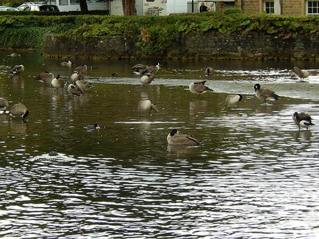 A Morning in Bakewell