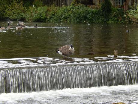 A Morning in Bakewell