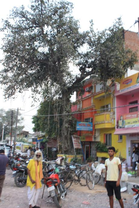 Taken on October 22, 2015 at Khajuraho