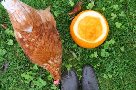 pumpkin hollowing