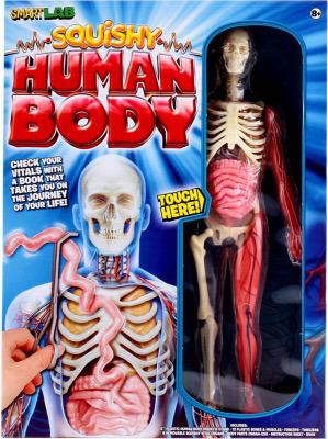 Smart Lab squishy human body (wicked uncle gifts)
