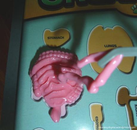 Smart Lab squishy human body (wicked uncle gifts)