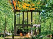 Tiny Cabins Woods