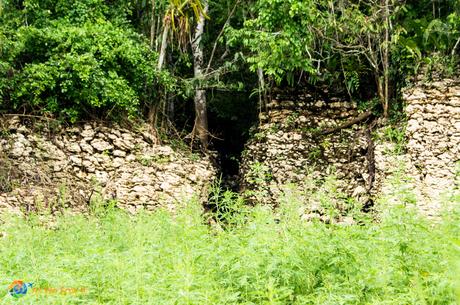 The Panamanian rainforest reclaims an Ancient Spanish wall 