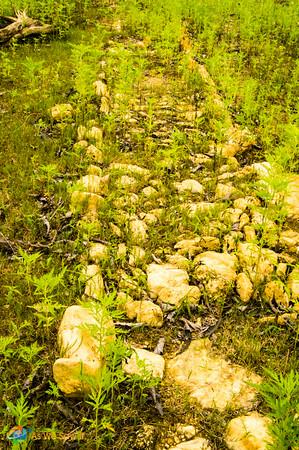 Rocks laid for the Camino Real still remain