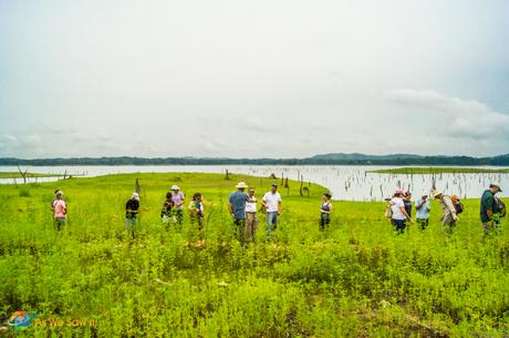 Looking for Spanish artifacts on an island in Lake Gatun