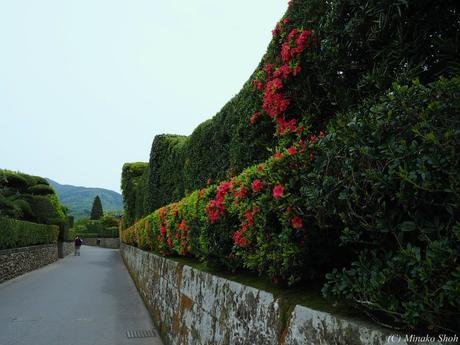 武家屋敷の石垣が質実剛健を思わせる，薩摩の小京都・知覧 / Chiran, with samurai residences and beautiful Japanese-style gardens.