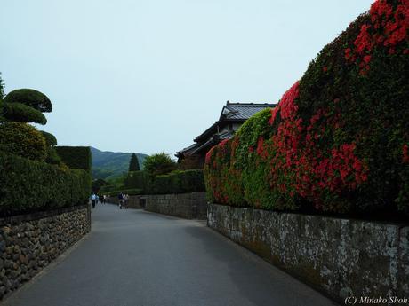 武家屋敷の石垣が質実剛健を思わせる，薩摩の小京都・知覧 / Chiran, with samurai residences and beautiful Japanese-style gardens.