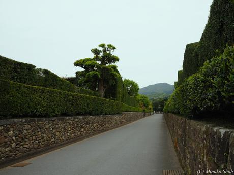 武家屋敷の石垣が質実剛健を思わせる，薩摩の小京都・知覧 / Chiran, with samurai residences and beautiful Japanese-style gardens.