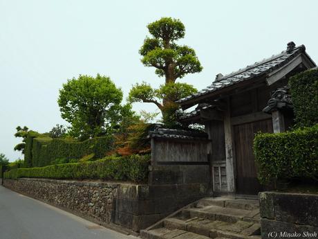 武家屋敷の石垣が質実剛健を思わせる，薩摩の小京都・知覧 / Chiran, with samurai residences and beautiful Japanese-style gardens.