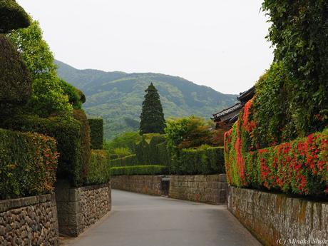 武家屋敷の石垣が質実剛健を思わせる，薩摩の小京都・知覧 / Chiran, with samurai residences and beautiful Japanese-style gardens.
