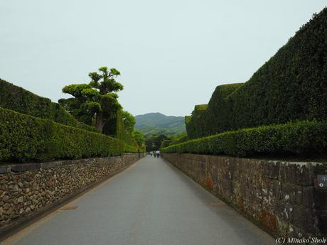 武家屋敷の石垣が質実剛健を思わせる，薩摩の小京都・知覧 / Chiran, with samurai residences and beautiful Japanese-style gardens.