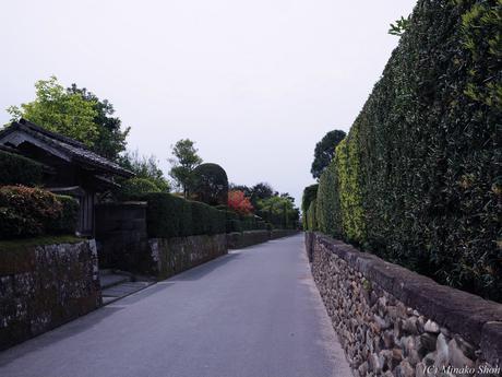 武家屋敷の石垣が質実剛健を思わせる，薩摩の小京都・知覧 / Chiran, with samurai residences and beautiful Japanese-style gardens.