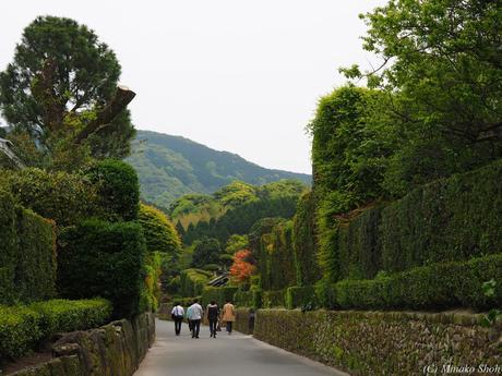 武家屋敷の石垣が質実剛健を思わせる，薩摩の小京都・知覧 / Chiran, with samurai residences and beautiful Japanese-style gardens.
