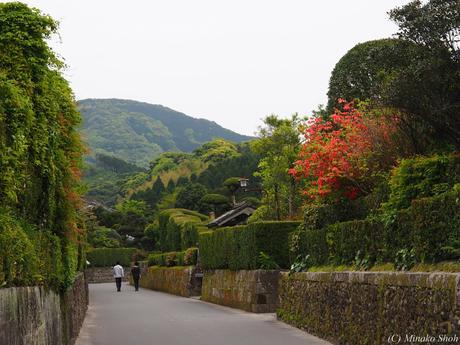 武家屋敷の石垣が質実剛健を思わせる，薩摩の小京都・知覧 / Chiran, with samurai residences and beautiful Japanese-style gardens.