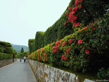 武家屋敷の石垣が質実剛健を思わせる，薩摩の小京都・知覧 / Chiran, with samurai residences and beautiful Japanese-style gardens.