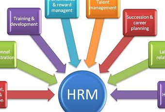 Functions of Human Resource Management - Paperblog