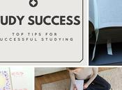 University: Study Success