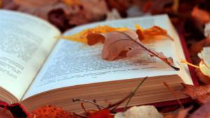 fall books