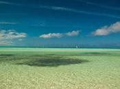 Cuba’s Actions Protect Biodiversity Praised