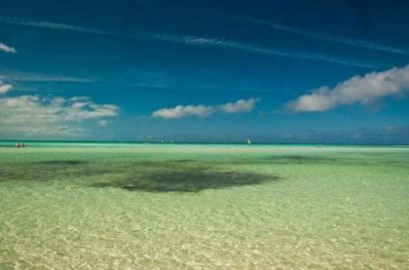 Cuba’s Actions to Protect Biodiversity Praised