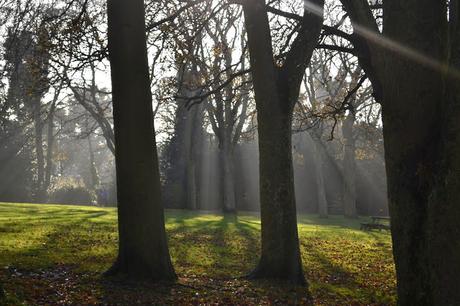 North East hidden gems - Saltwell Park