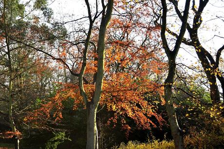 North East hidden gems - Saltwell Park