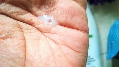 Vegetal Anti Dandruff Shampoo Review