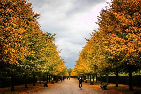 In & Around London… #London In Her Autumn Plumage