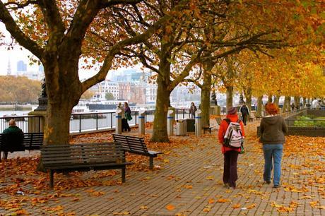 In & Around London… #London In Her Autumn Plumage