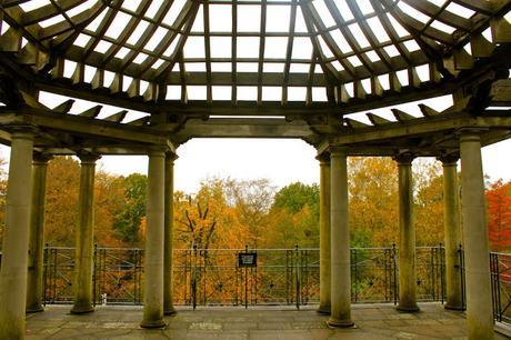 In & Around London… #London In Her Autumn Plumage