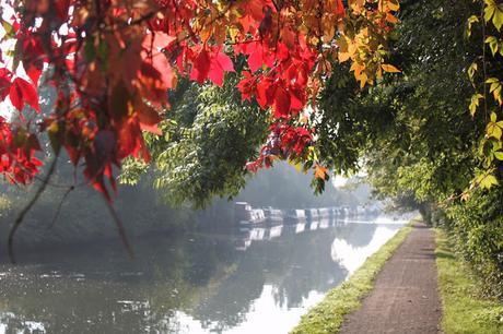 In & Around London… #London In Her Autumn Plumage