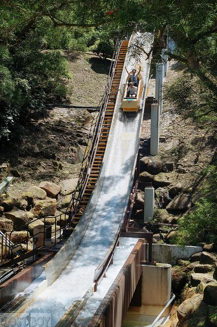 Top 5 Most Thrilling Rides at Ocean Park Hong Kong