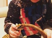 It's Schleich Dinosaur Time